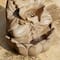 Glitzhome® 21.75" Sand Beige Zen-Style LED 2-Tier Frog Outdoor Fountain